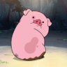 Oink