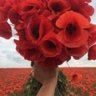 Натим
