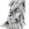 boniface