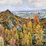 index36