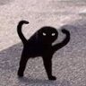 espanolcat