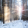 Sunmary