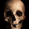 www511