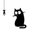 Black Kitten