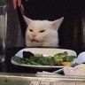 Kandy Cat