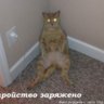 natan