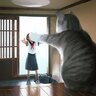 Ahka991