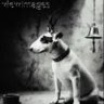 Dr.Pavlov