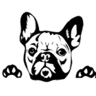 kvwvbvngv