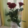 Елена Пономарева