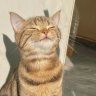 Asunny