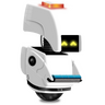 SankaFox