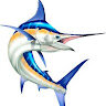 jacksoft