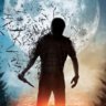 serge3v.dmit