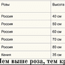 Денис)))