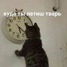 dddddddd3fs