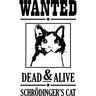 Кот Шредингера