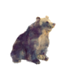 LisaBiryuza