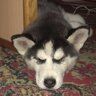 Marius_blin