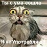 Светлана555888