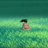 nicolasha_