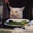 Kandy Cat