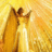 ANAEL789